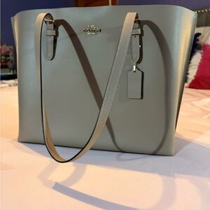 Coach Taupe Leather Tote Bag